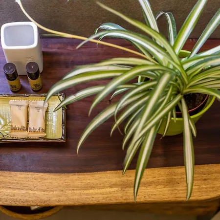 Via Fiume By Casa Di Marco